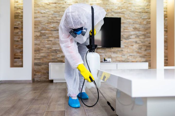 How to Safeguard Your Home from Pests: Expert Tips & Strategies