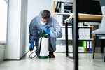 Commercial Pest Control Contract Insights: Understanding Business Pest Management