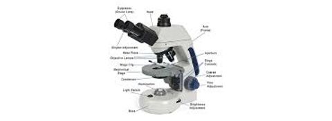 Expert Guide to the Latest Trends in Microscopy and Measurement Technologies