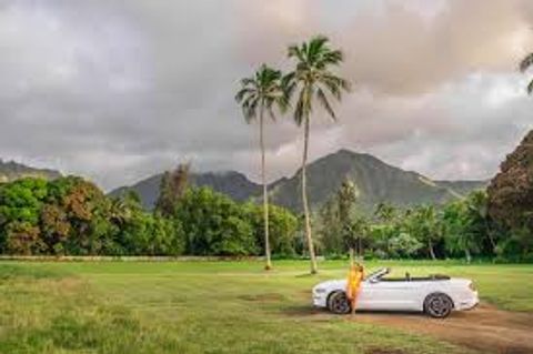 Facts About Adult-Only Hotels And Resorts